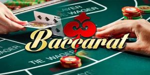 bài baccarat