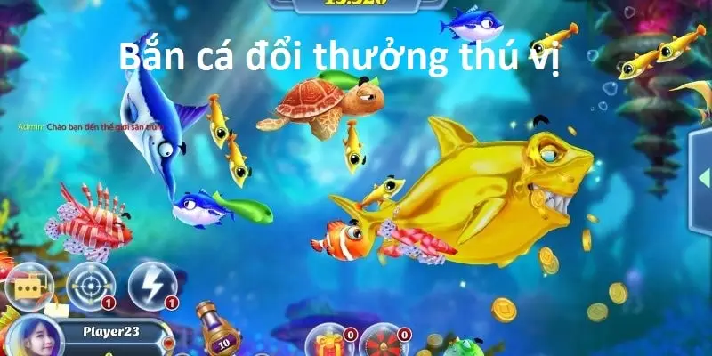 Dùng vũ khí linh hoạt để chinh phục thế giới biển đơn giản