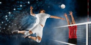 cá cược bóng chuyền