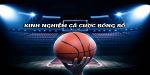 cá cược bóng rổ