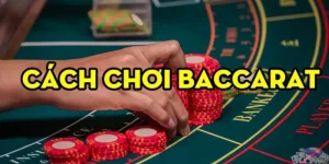 cách chơi bacccarat